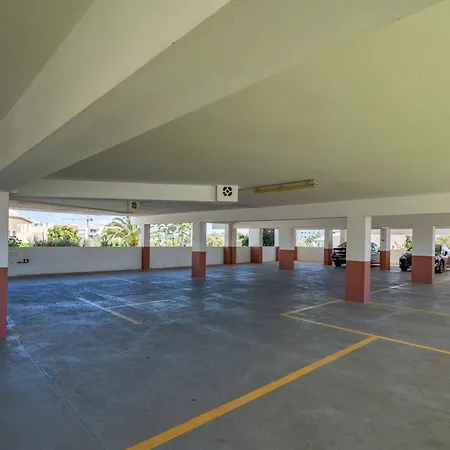 Rosa Flat 포티마오